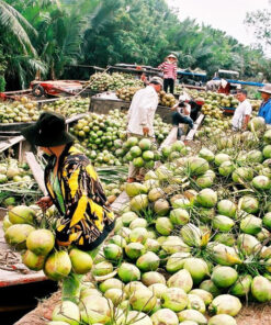 Tour Mỹ Tho – Bến Tre – Rạch Giá – Cà Mau – Bạc Liêu